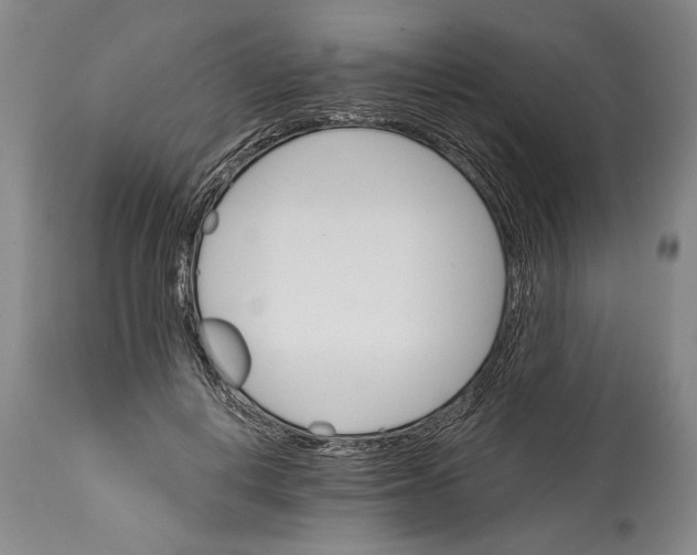 X0000114400648200911061538