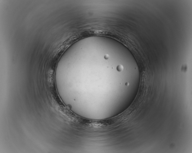 X0000114400650200911061539