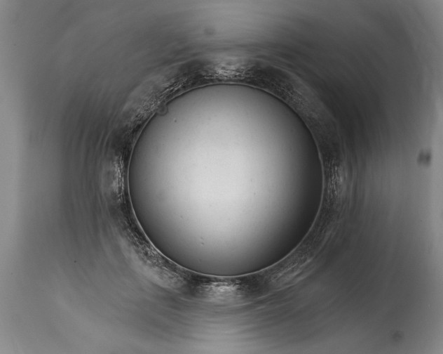 X0000114400651200911061539