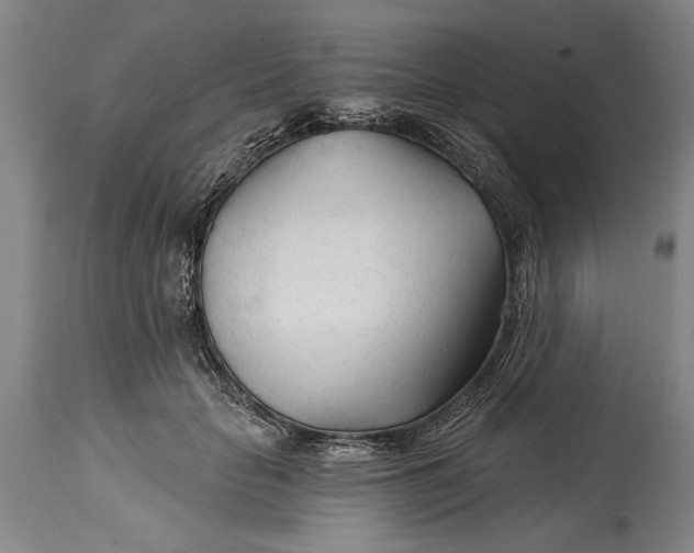 X0000114400653200911061539