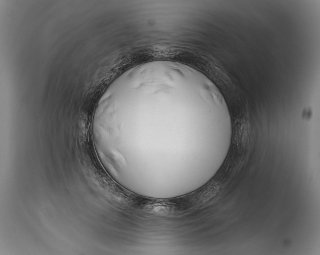 X0000114400655200911061539