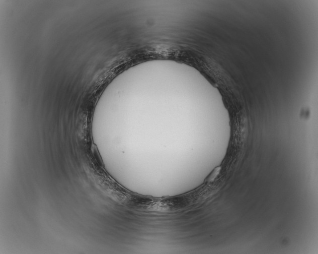 X0000114400656200911061539