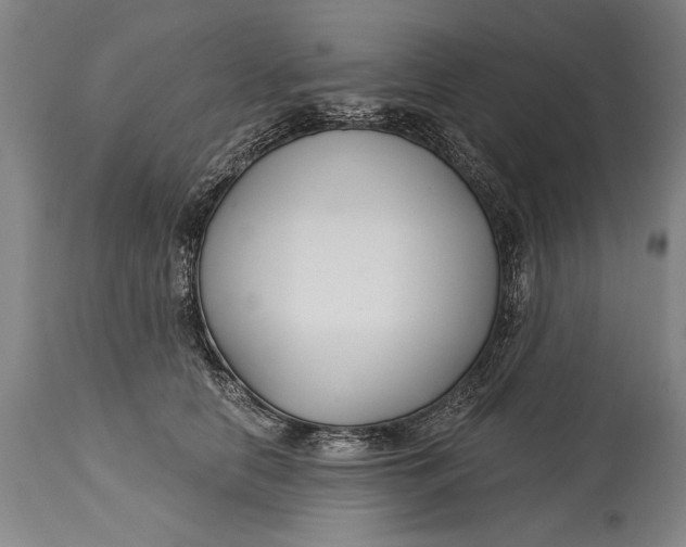 X0000114400658200911061539