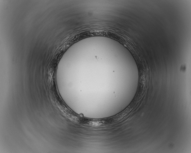 X0000114400662200911061539