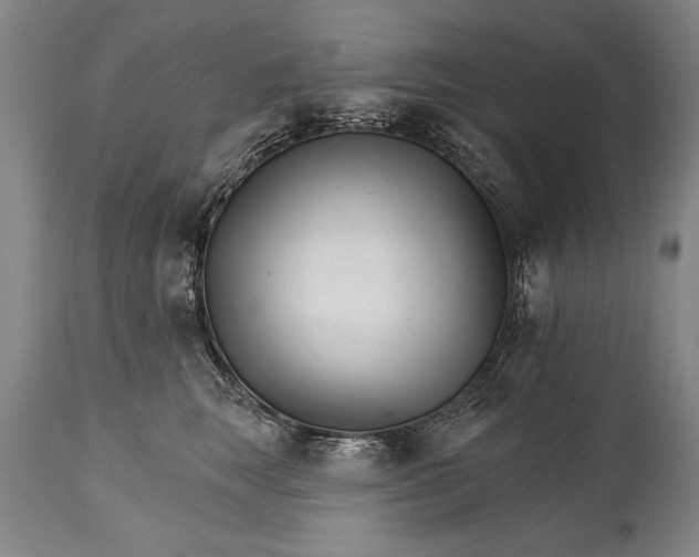 X0000114400663200911061539