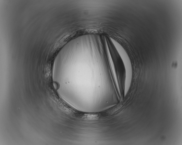 X0000114400665200911061539