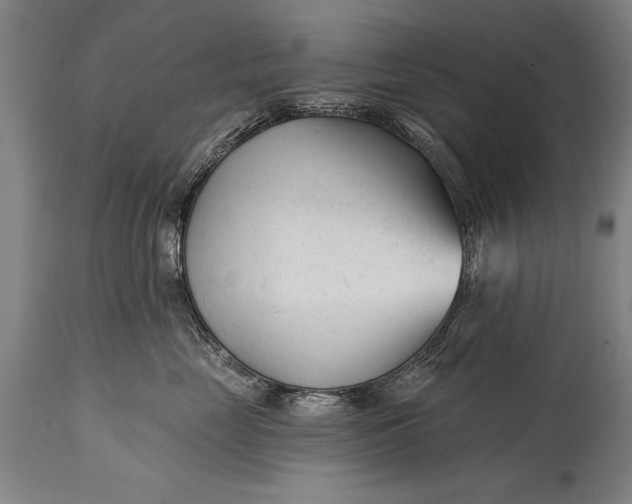 X0000114400669200911061539