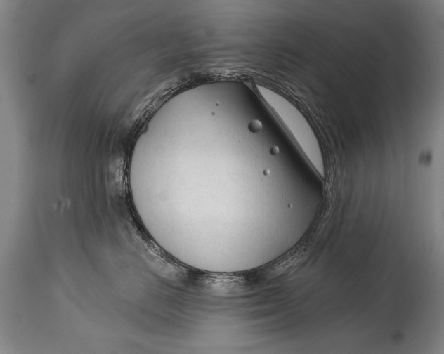 X0000114400670200911061539