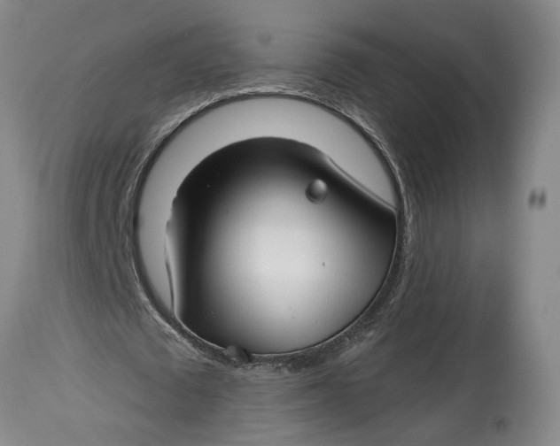 X0000114400673200911061538