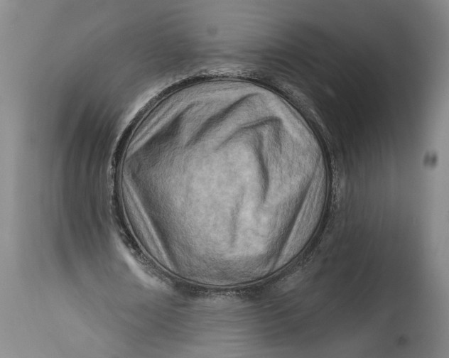 X0000114400674200911061538