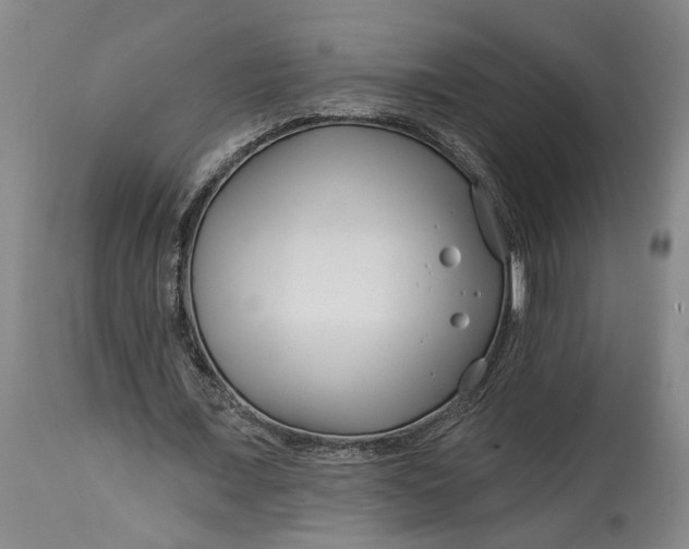 X0000114400675200911061538