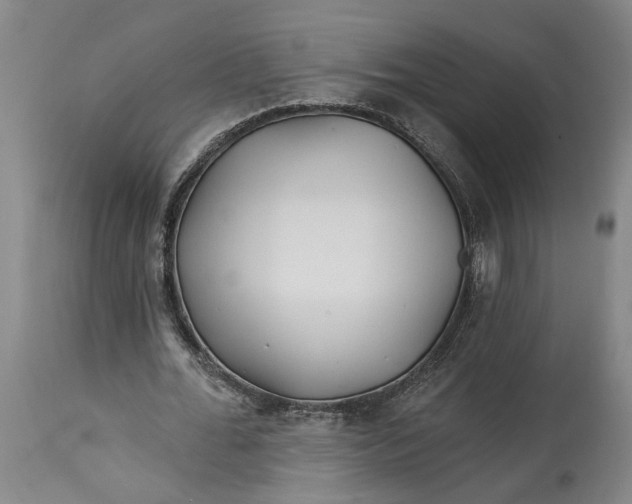 X0000114400676200911061538