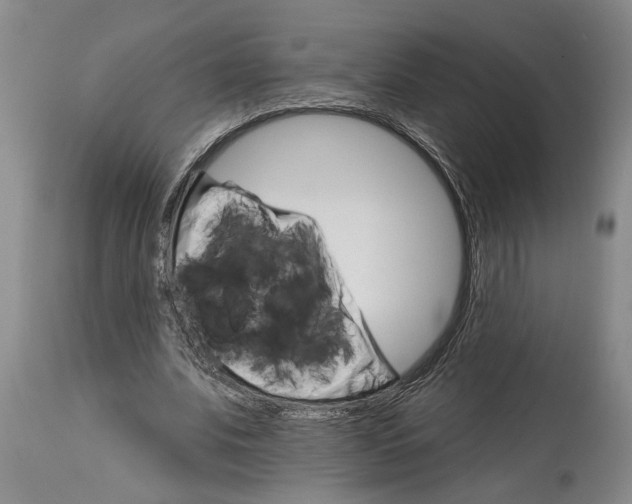 X0000114400679200911061538