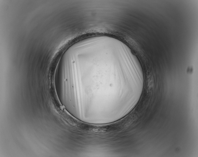 X0000114400680200911061538