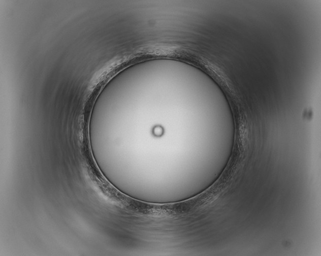 X0000114400682200911061538