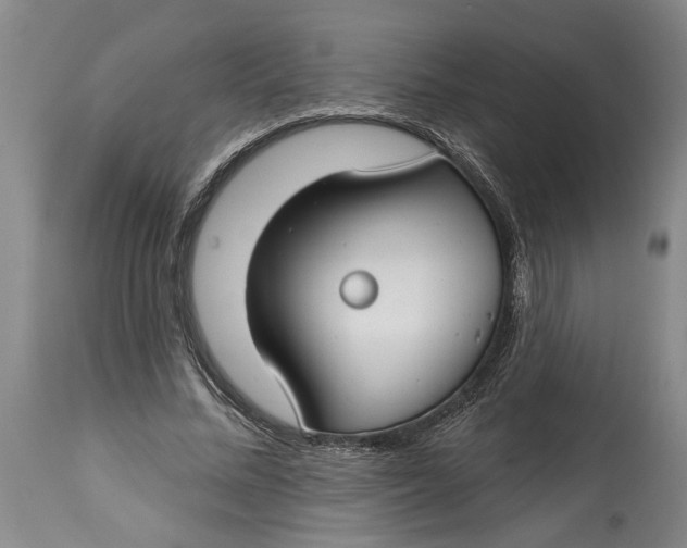 X0000114400684200911061538