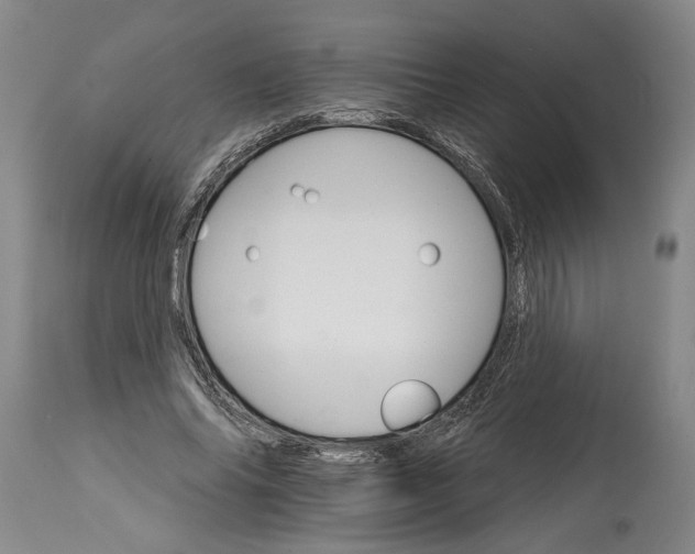 X0000114400686200911061538