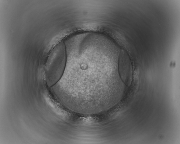 X0000114400688200911061538