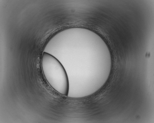 X0000114400689200911061538