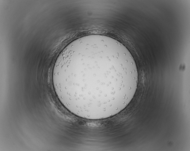 X0000114400690200911061538