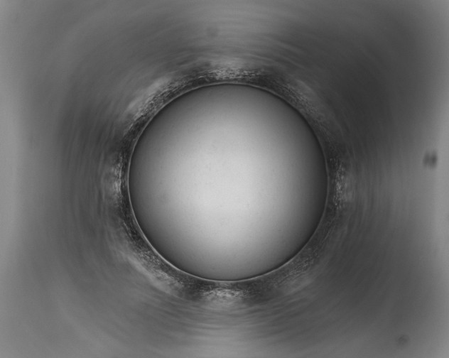 X0000114400691200911061538