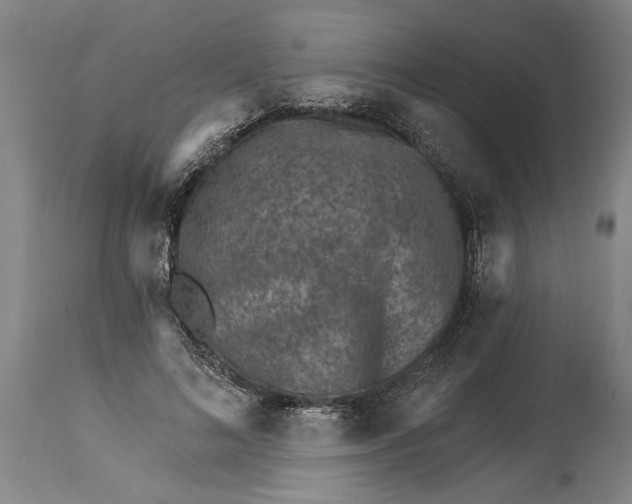 X0000114400692200911061538