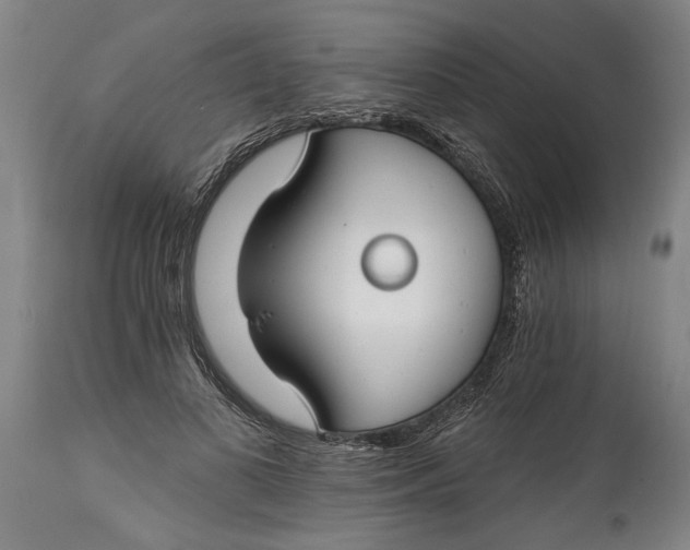 X0000114400693200911061538