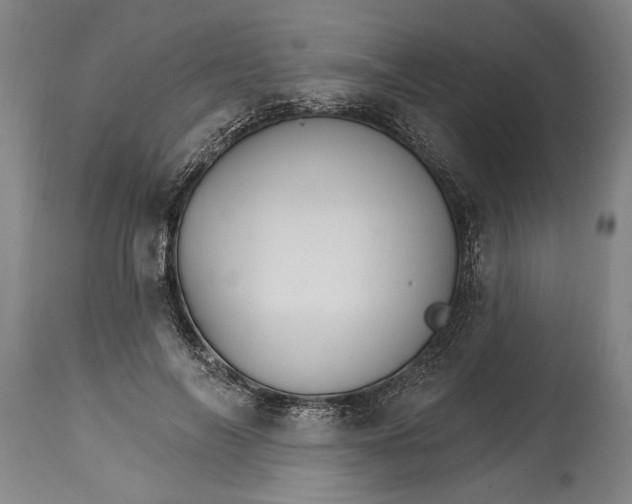 X0000114400694200911061538