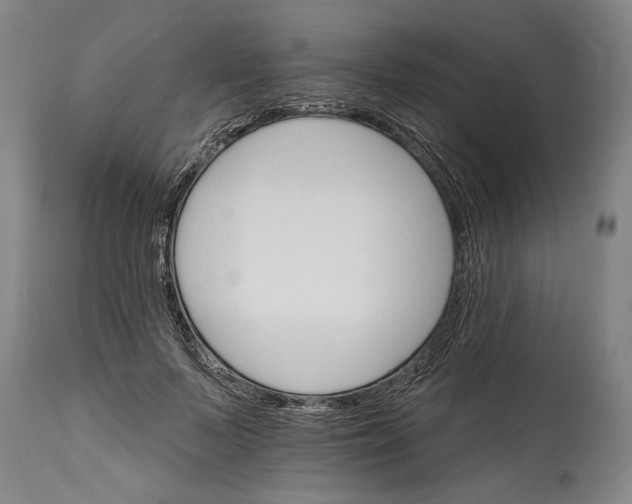 X0000114400695200911061538