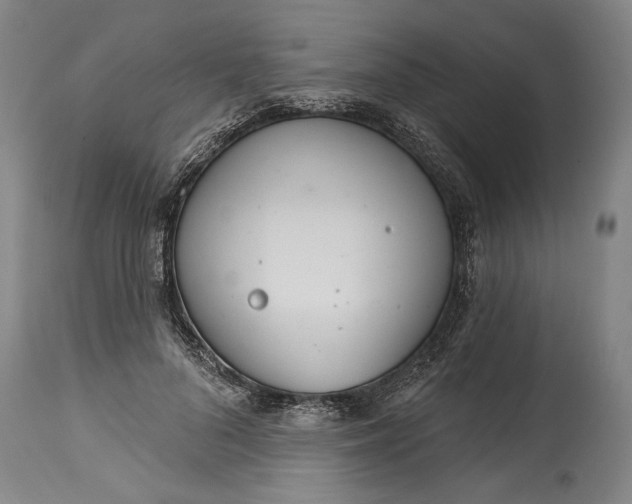 X0000114400696200911061538