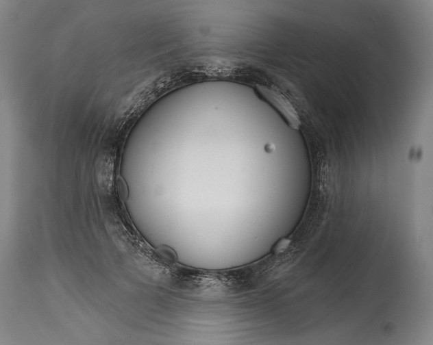 X0000114400697200911061538