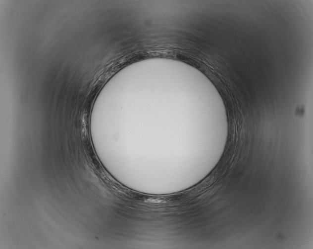 X0000114400699200911061538