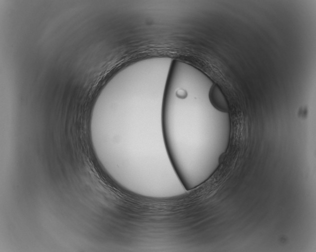 X0000114400700200911061538