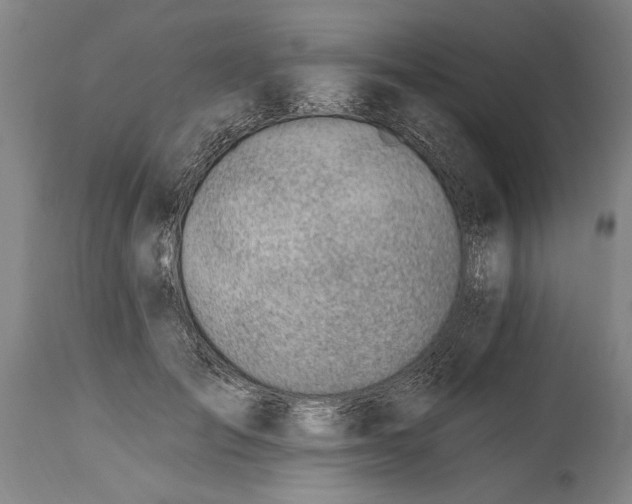 X0000114400701200911061538