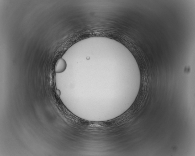 X0000114400703200911061538