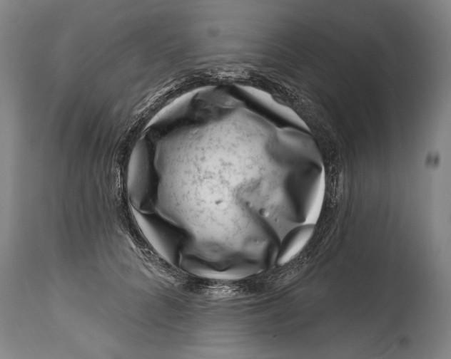 X0000114400704200911061538