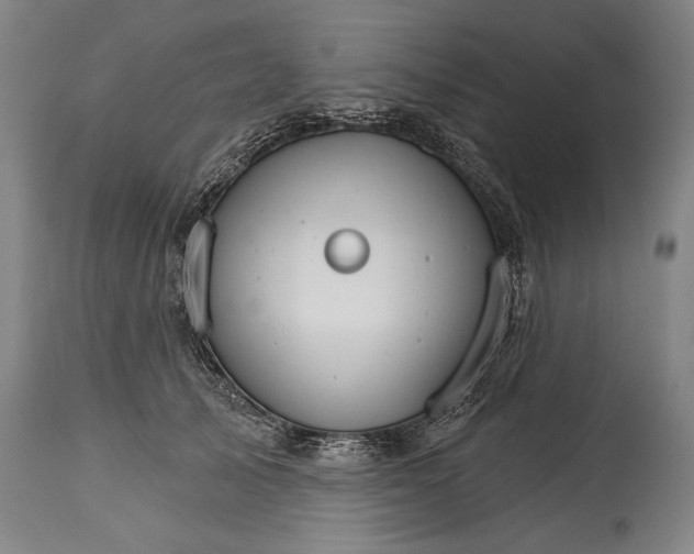 X0000114400705200911061538