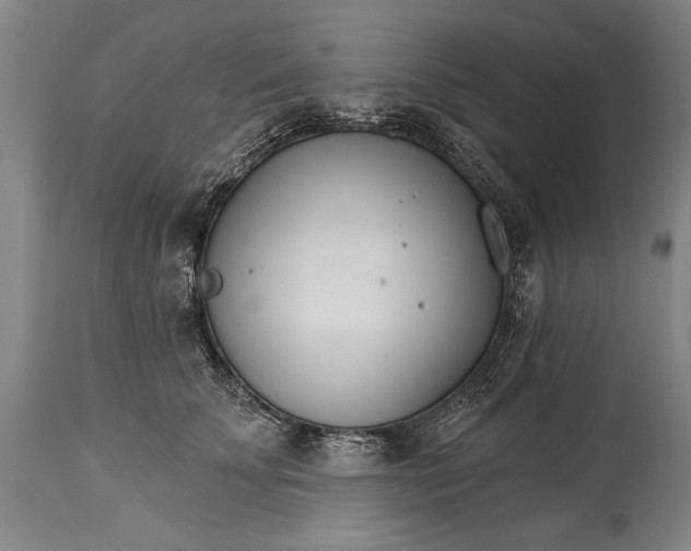 X0000114400707200911061538