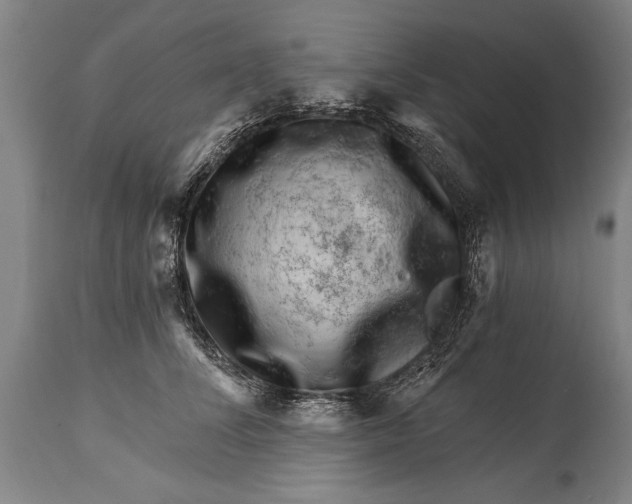 X0000114400708200911061538