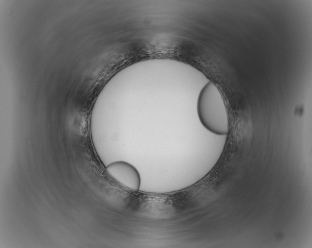 X0000114400709200911061538