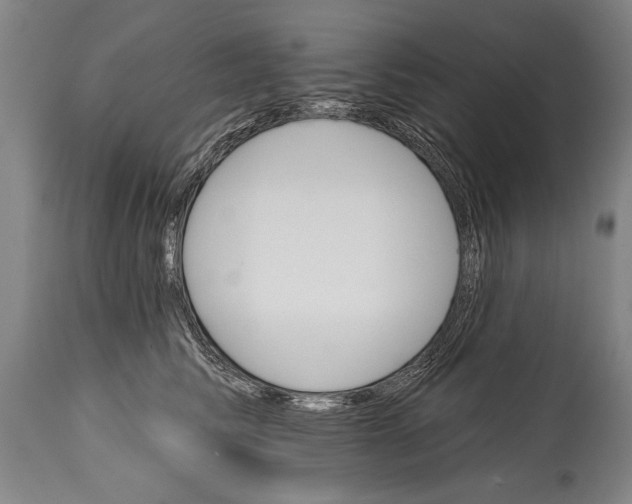 X0000114400710200911061538