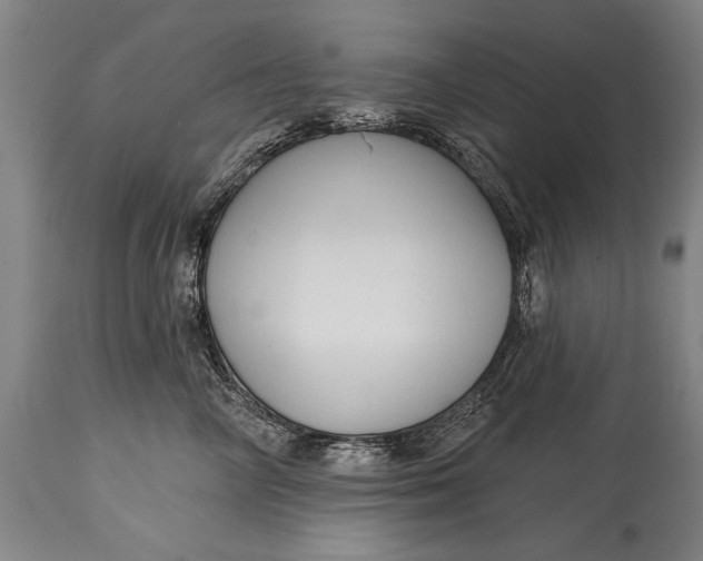 X0000114400714200911061538