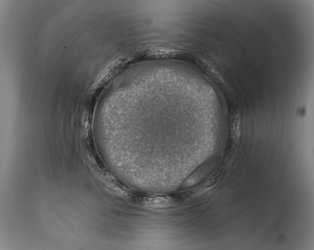 X0000114400716200911061538