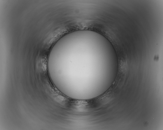 X0000114400719200911061538