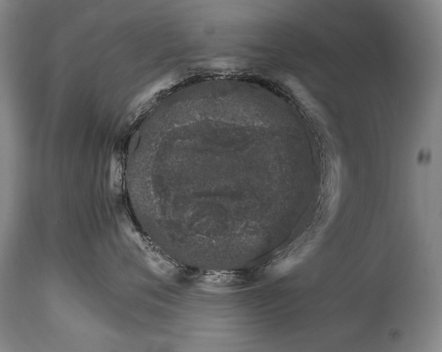 X0000114400720200911061537