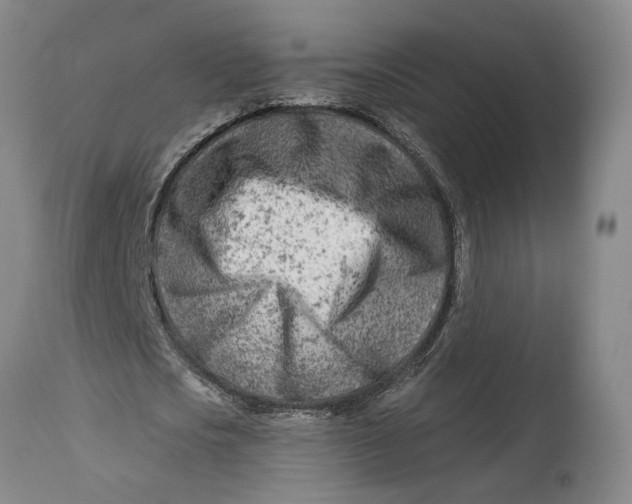 X0000114400721200911061537