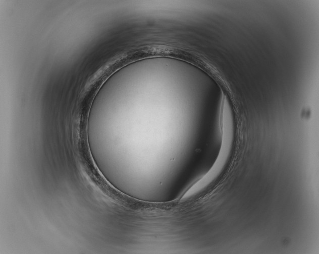 X0000114400722200911061537