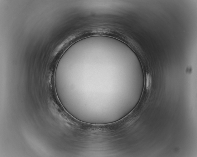 X0000114400723200911061537