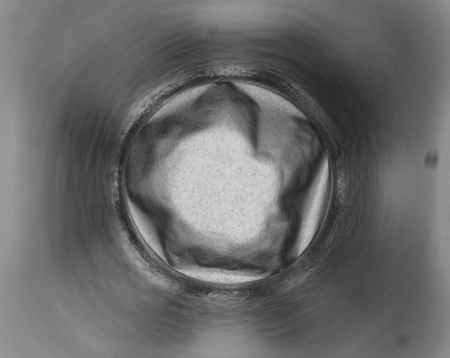 X0000114400725200911061537