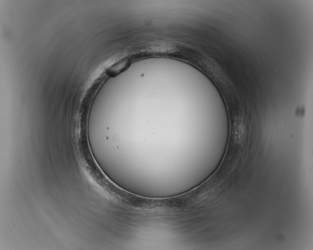 X0000114400726200911061537